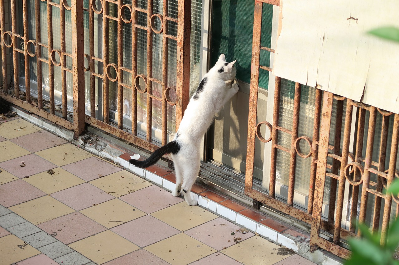 밤알바커뮤니티정보